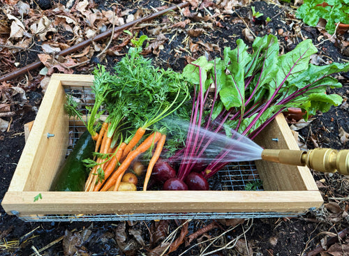 The Harvest Basket